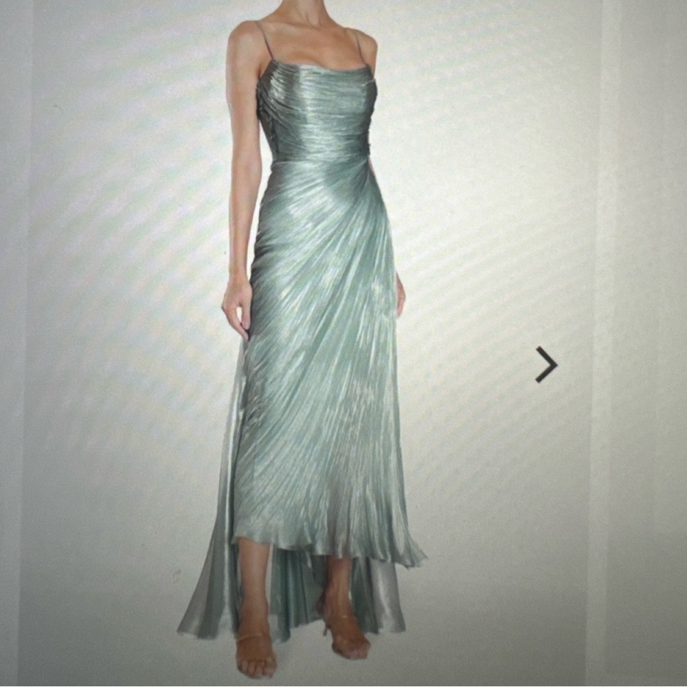 Maria Lucia Hohan Siona Pleated Dress